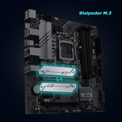 MOTHERBOARD ASUS PRIME B560M-A LGA1200